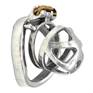 Profile View of the Metal Chastity Cage